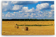 Paul Sinus Wandbild 120x80cm Weizenfeld Weizenernte Feld Natur weiße Wolken
