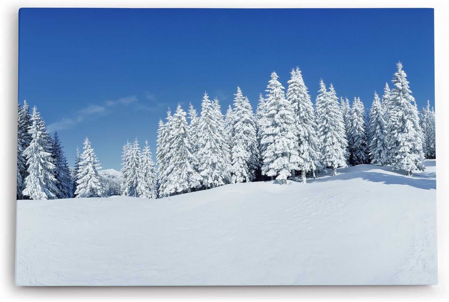 Paul Sinus Wandbild 120x80cm Winterlandschaft Tannen Schnee Weiß Natur