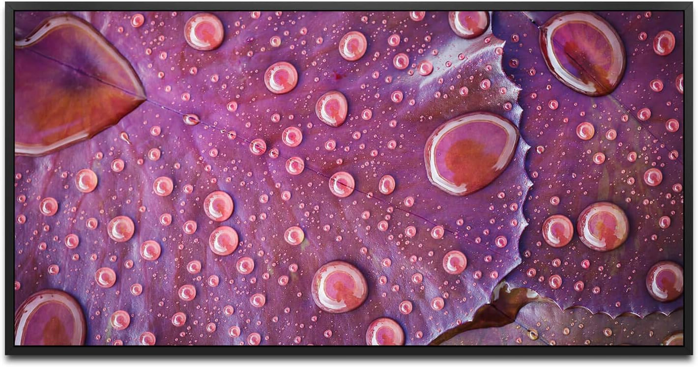Wassertropfen auf einem Blatt ca. 130x70cm Wandbild inklusive Schattenfugenrahmen schwarz - Panorama Leinwand Bild XXL Format Wandbilder Wohnzimmer Wohnung Deko Kunstdrucke