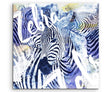 full_Zebra_60x60cm_FRONTxJMk7x1pwygna_1280x1280.jpg