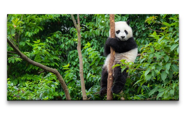 Leinwandbild 120x60cm Kleiner Panda Pandabär Wald Grün Süß Flauschig