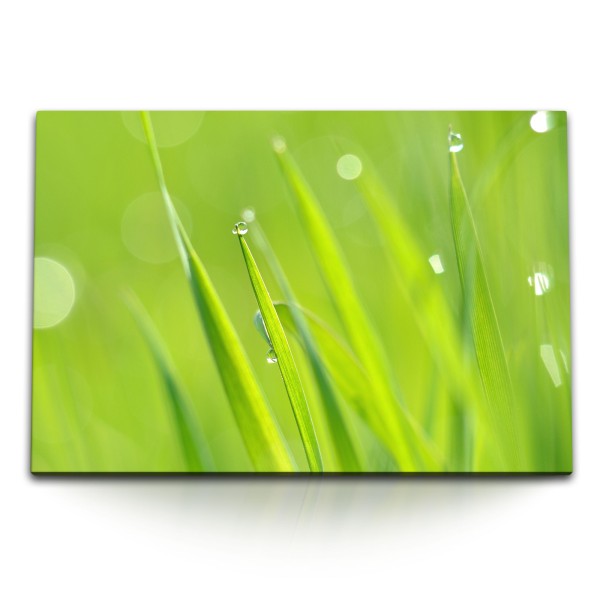 120x80cm Wandbild auf Leinwand Grünes Gras Grashalme Wassertropfen Natur Morgentau