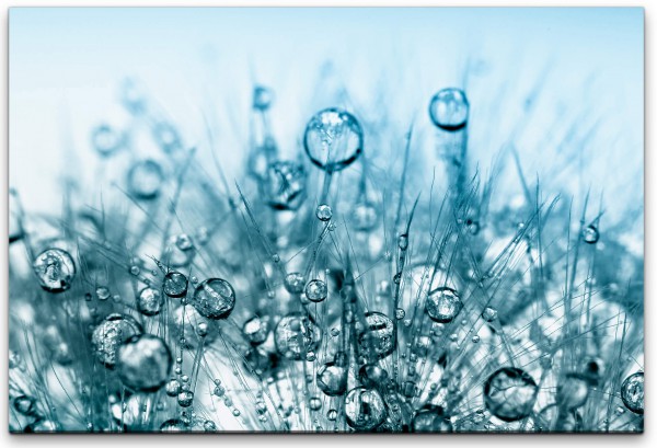 Wasserblasen Wandbild in verschiedenen Größen