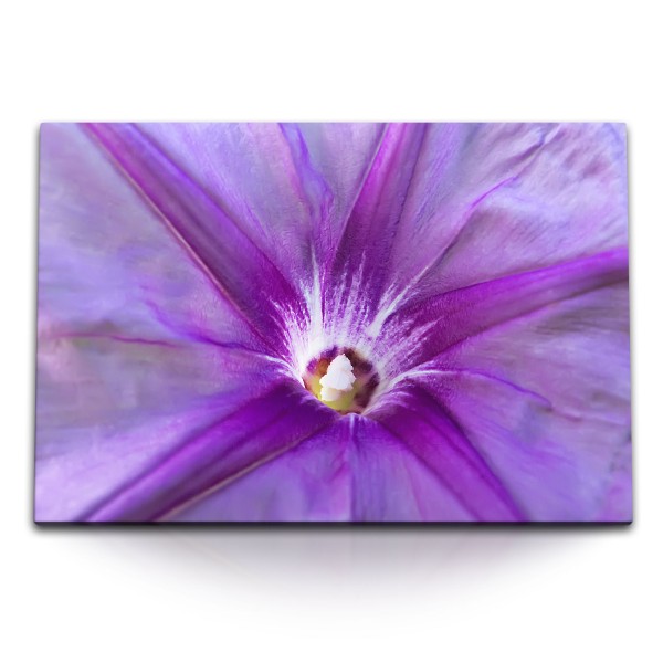 120x80cm Wandbild auf Leinwand Nahaufnahme Blume Blüte Natur Frühling Violett