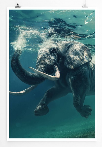 Schwimmender Elefant unter Wasser 60x90cm Poster