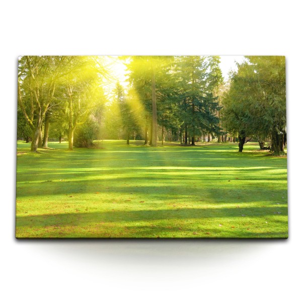 120x80cm Wandbild auf Leinwand Grüne Wiese Park Sonnenschein Sonnen Bäume