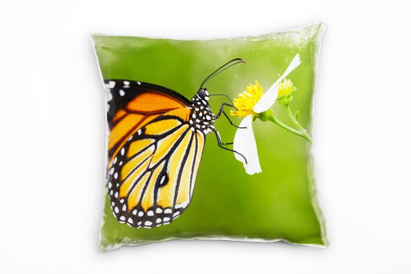 Tiere, grün, orange, Schmetterling auf einer Blume, Nah Deko Kissen 40x40cm für Couch Sofa Lounge Zi