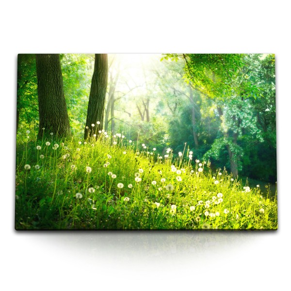 120x80cm Wandbild auf Leinwand Grüne Wiese am Waldrand Natur Pusteblumen Sonnenschein