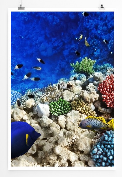 90x60cm Poster Naturfotografie Buntes Korallenriff mit Fischen