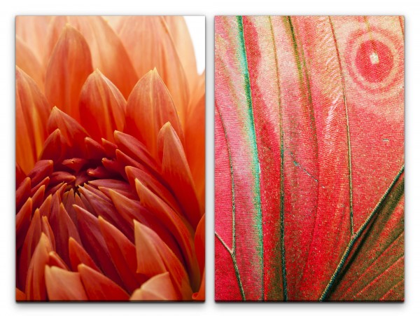 2 Bilder je 60x90cm Dahlie rote Blume Flügel Rot Romantisch Leidenschaft Makrofotografie