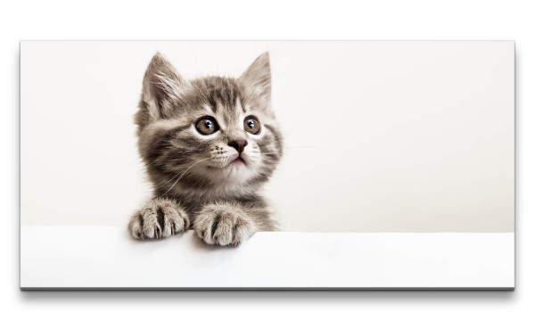 Leinwandbild 120x60cm Kleines süßes Kätzchen Katze Baby Flauschig Herzlich