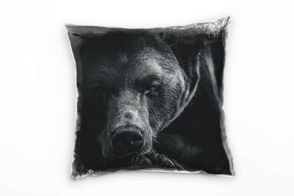 Tiere, Braunbär, Portrait, schwarz, grau Deko Kissen 40x40cm für Couch Sofa Lounge Zierkissen