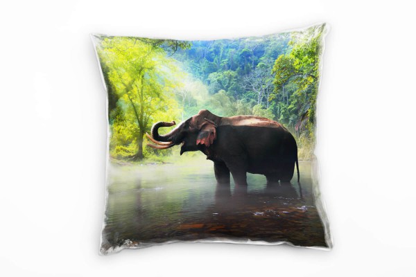 Tiere, Elefant, im Bach, Sonnenschein, grün, grau Deko Kissen 40x40cm für Couch Sofa Lounge Zierkiss