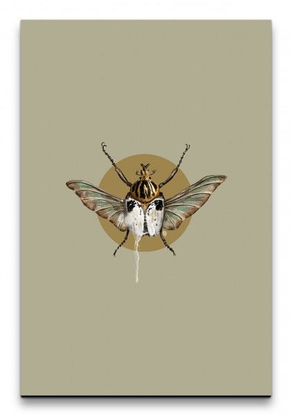 Käfer Insekt Modern Dekorativ Wasserfarben Aquarell Design