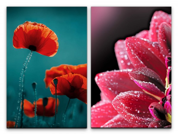 2 Bilder je 60x90cm Mohnblume Rot Grün Blüten Nahaufnahme Blumen Mohn