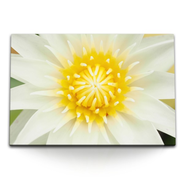 120x80cm Wandbild auf Leinwand Lotus Lotosblüte weiße Blüte Makrofotografie