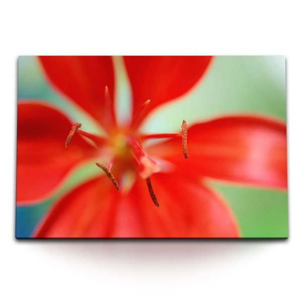 120x80cm Wandbild auf Leinwand Rote Lilie Blume Blüte Makrofotografie Kunstvoll