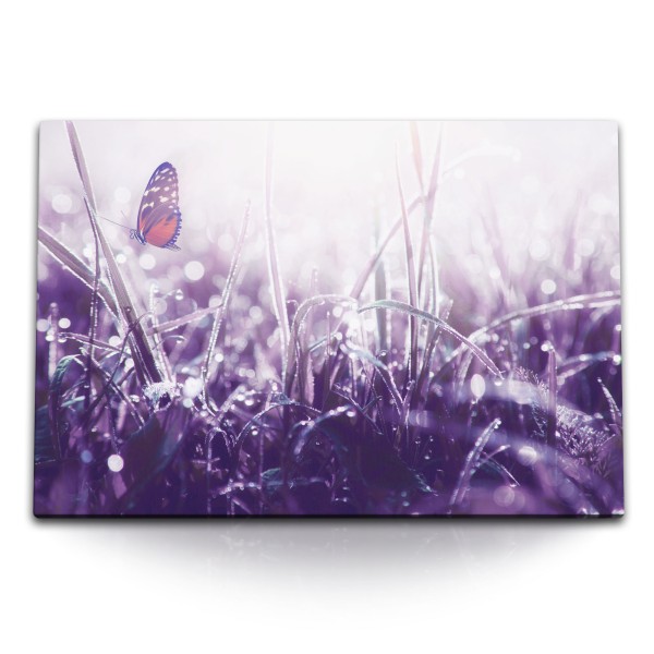 120x80cm Wandbild auf Leinwand Wiese Morgentau Schmetterling Natur Fotokunst