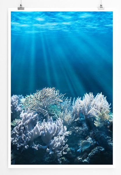 90x60cm Poster Ruhige Unterwasserlandschaft
