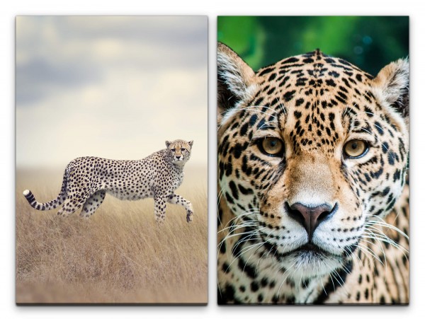 2 Bilder je 60x90cm Gepard Leopard Afrika Wildnis Raubkatze Safari Großkatze