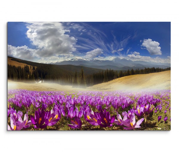 120x80cm Wandbild Berge Wiesen Blumen Wolken Landschaft
