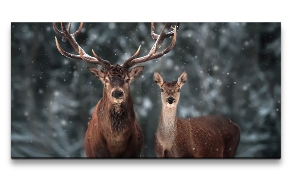 Leinwandbild 120x60cm Hirsch Hirschgeweih Wald Schnee schöne Tiere Natur