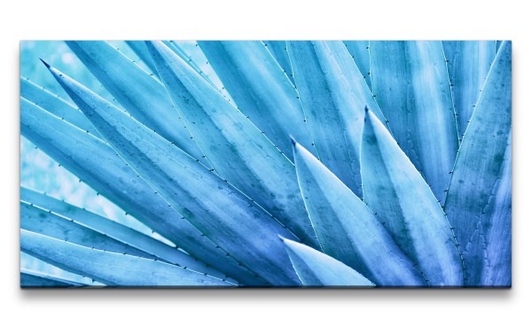 Leinwandbild 120x60cm Aloe Vera Pflanze Kunstvoll Nahaufnahme Dekorativ Blau