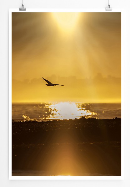 90x60cm Poster Goldener Sonnenaufgang in Kaikoura Neuseeland