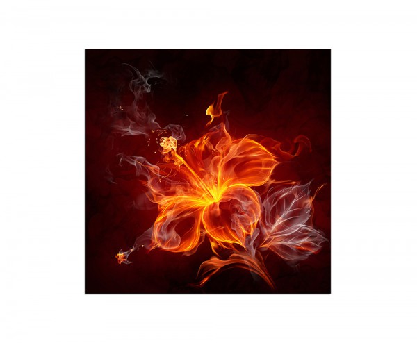 80x80cm Hibiskus Blüte Feuer Flammen Rauch