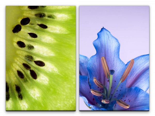 2 Bilder je 60x90cm Kiwi Grün Blau Frisch Blumen Blüte Makrofotografie