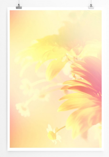 60x90cm Naturfotografie Poster Frühlingsblumen im Sonnenlicht
