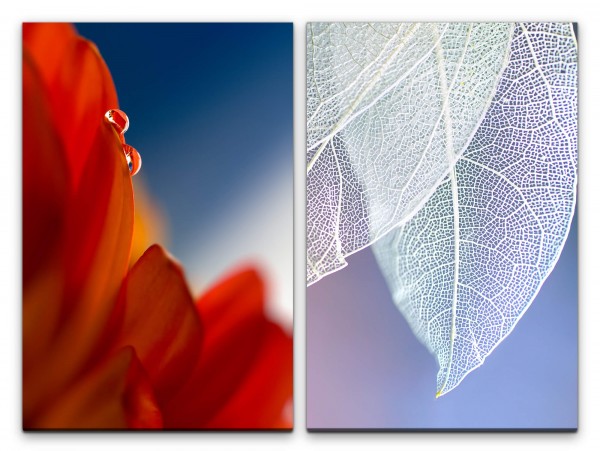 2 Bilder je 60x90cm Blüte weiße Blätter Wassertropfen Fotokunst Zart Fein Makrofotografie