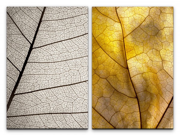 2 Bilder je 60x90cm Blatt Blattadern Laub Herbstblatt Leichtigkeit Dekorativ Makro