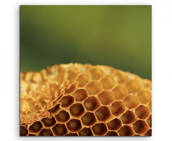 Naturfotografie – Honigwabe auf Leinwand