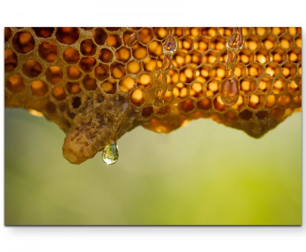 Frischer Bienenhonig - Leinwandbild