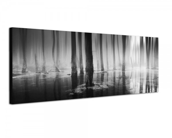150x50cm Wald Sumpf Nebel Lichtstrahlen Spiegelung