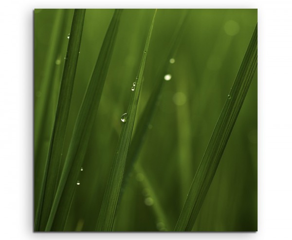 Naturfotografie – Reisblätter auf Leinwand