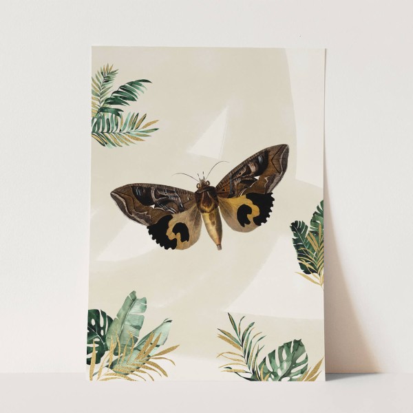 Wandbild Schmetterling Pflanzen Tropisch Vintage Kunstvoll