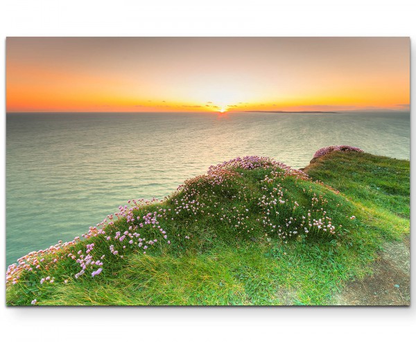 Landschaftsfotografie  Klippe mit rosa Blüten bei Sonnenuntergang - Leinwandbild
