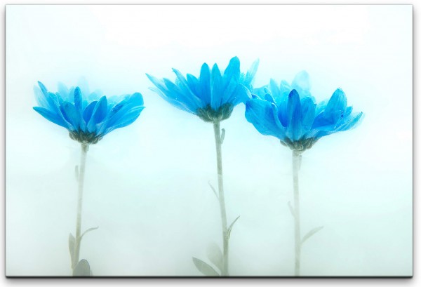blaue Blumen Wandbild in verschiedenen Größen