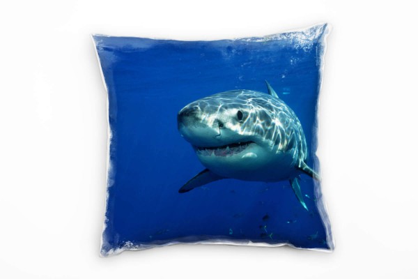 Tiere, blau, grau, weißer Hai, Unterwasser Deko Kissen 40x40cm für Couch Sofa Lounge Zierkissen