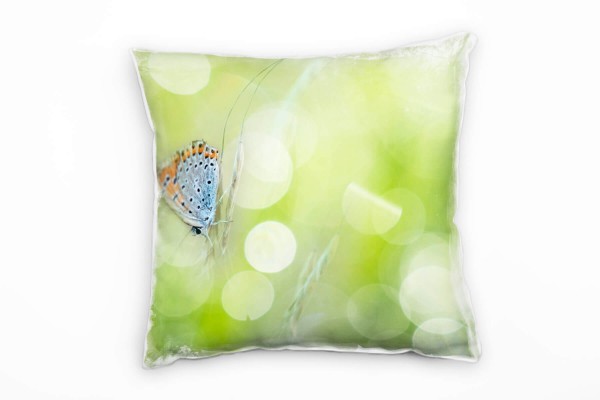 Tiere, grün, orange, blau, Schmetterling im Gras Deko Kissen 40x40cm für Couch Sofa Lounge Zierkisse