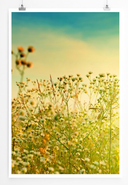90x60cm Poster Naturfotografie Herbstliches Blumenfeld im Sonnenschein