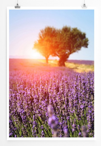 90x60cm Poster Lavendelfeld in der Provence Frankreich