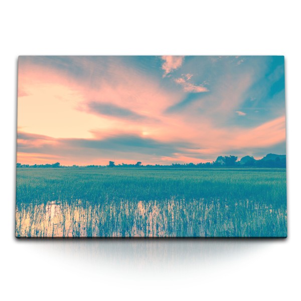 120x80cm Wandbild auf Leinwand Reisanbau Reisfeld Horizont Sonnenuntergang Natur