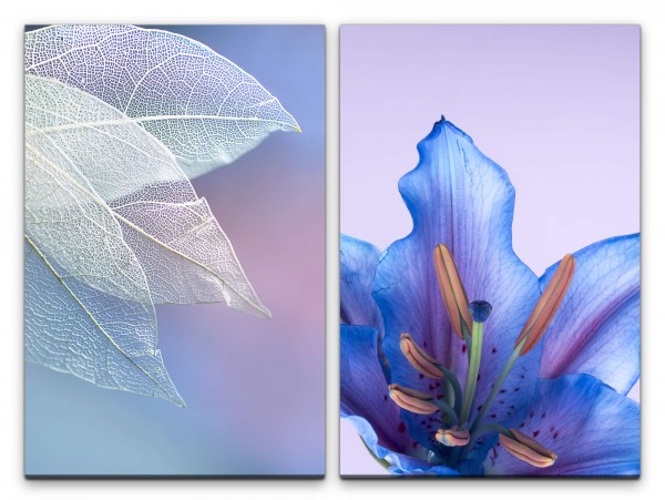 2 Bilder je 60x90cm Weiße Blätter blaue Blüte Hellblau Blattstruktur Dekorativ Zart Fotokunst