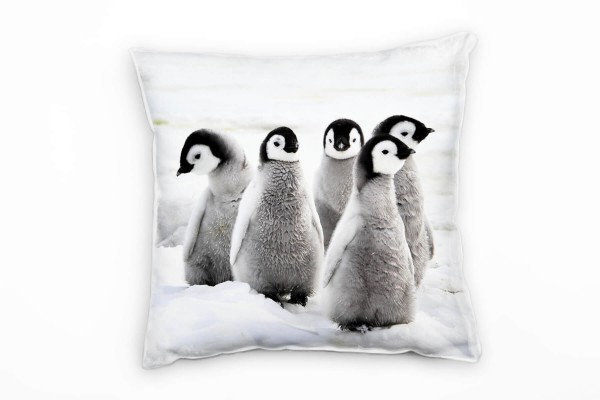 Tiere, Pinguin Nachwuchs, Schnee, grau, schwarz Deko Kissen 40x40cm für Couch Sofa Lounge Zierkissen