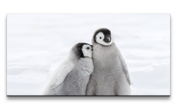 Leinwandbild 120x60cm Kleine süße Pinguine Flauschig Niedlich Wollig Mollig