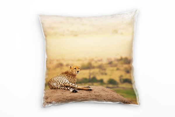 Tiere, liegender Gepard, Savanne, Afrika, orange Deko Kissen 40x40cm für Couch Sofa Lounge Zierkisse