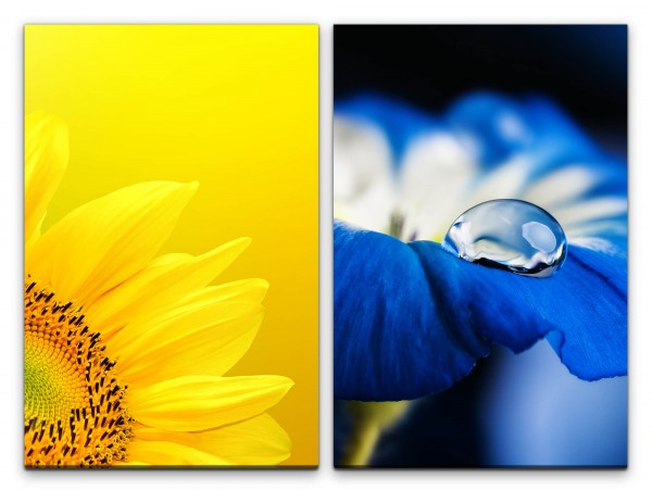 2 Bilder je 60x90cm Sonnenblume Gelb Tropfen Blau Blüte Blumen Makro